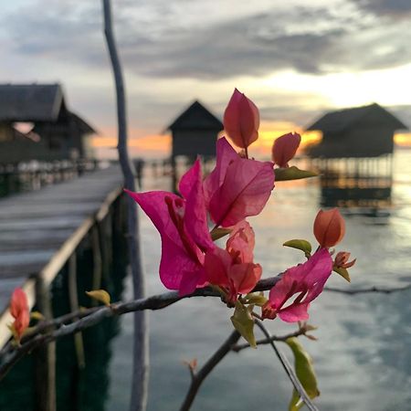 Nyanse Homestay - Raja Ampat Besir Kültér fotó