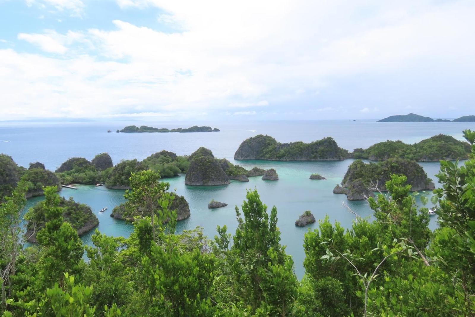 Nyanse Homestay - Raja Ampat Besir Kültér fotó