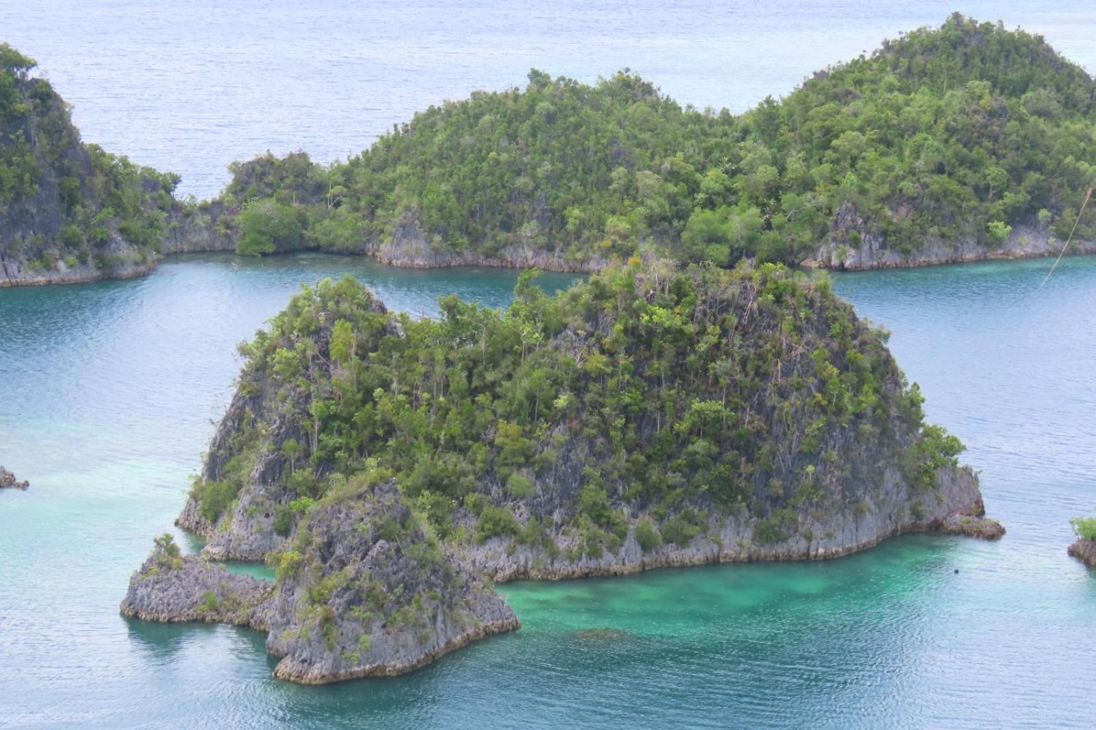 Nyanse Homestay - Raja Ampat Besir Kültér fotó