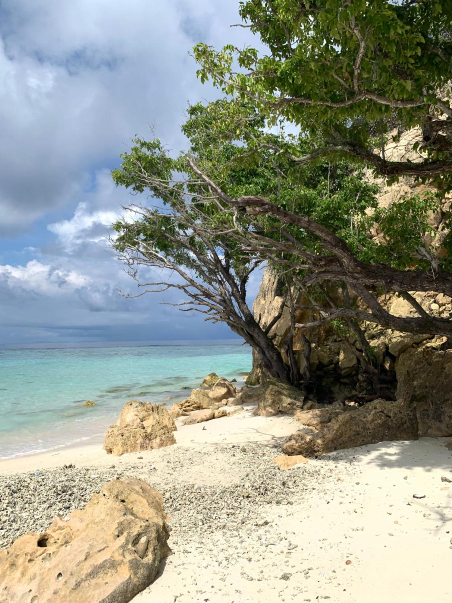 Nyanse Homestay - Raja Ampat Besir Kültér fotó