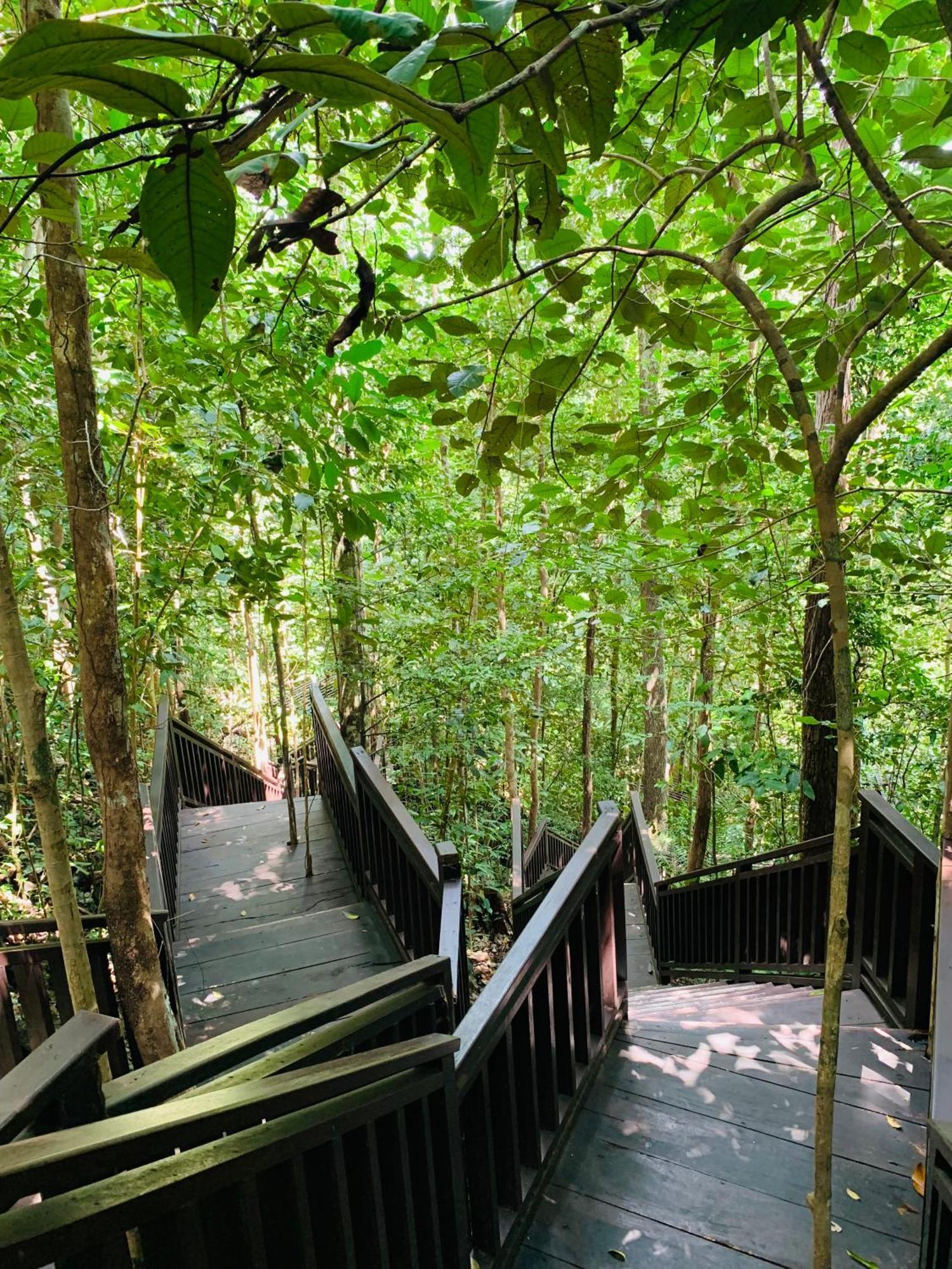 Nyanse Homestay - Raja Ampat Besir Kültér fotó