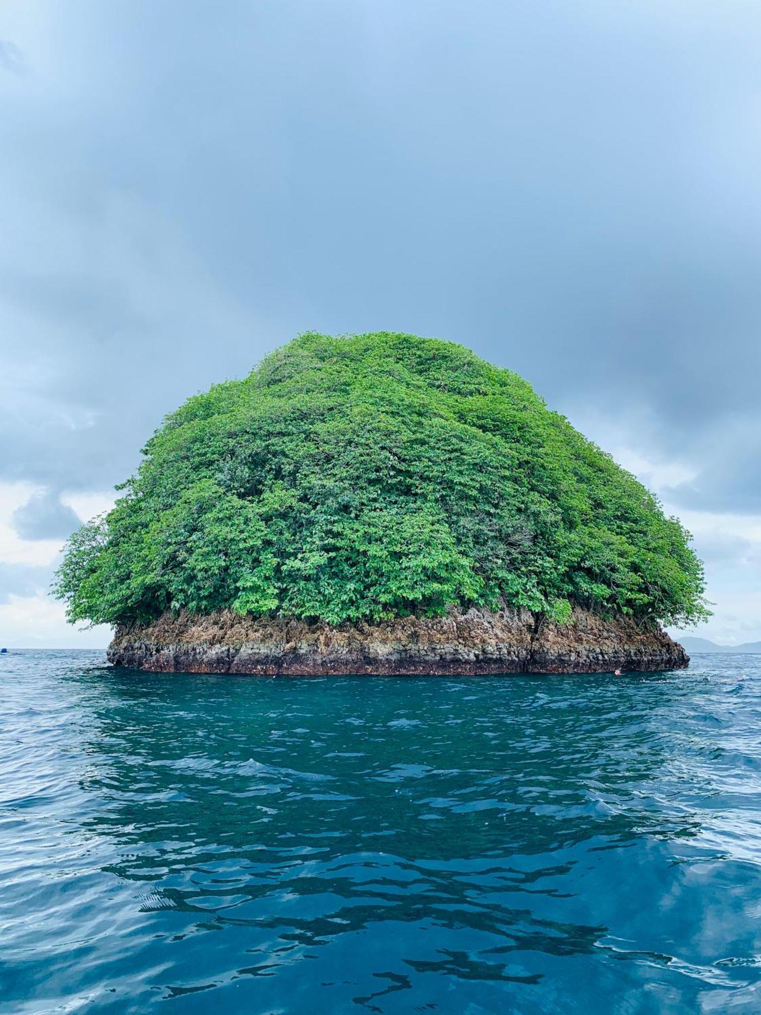 Nyanse Homestay - Raja Ampat Besir Kültér fotó